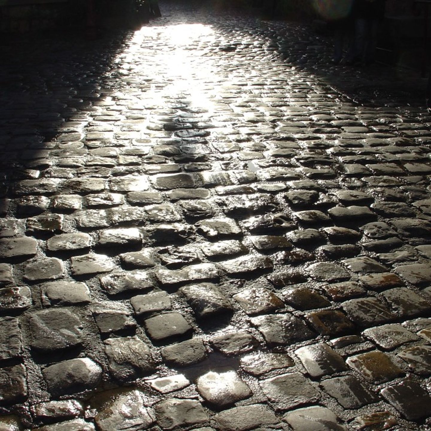 Dark Alley