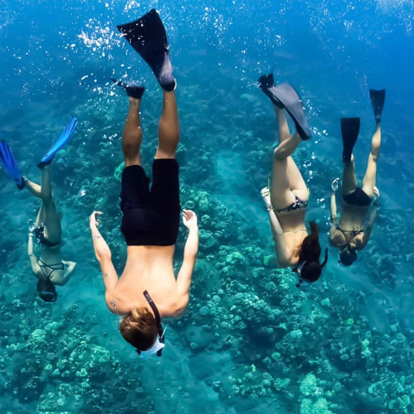 People snorkeling
