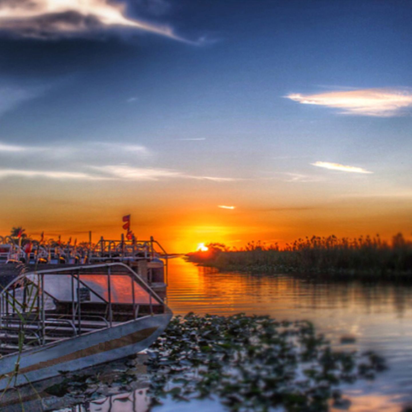 Airboat Safari at Night