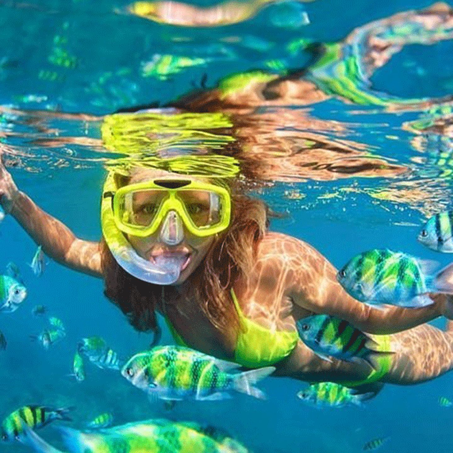 Snorkeling