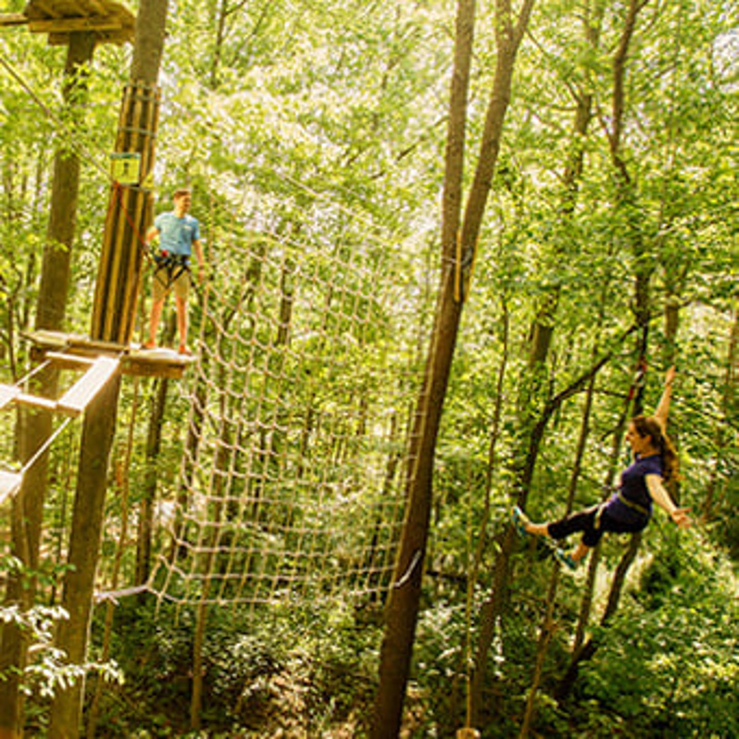 Zip Line Course