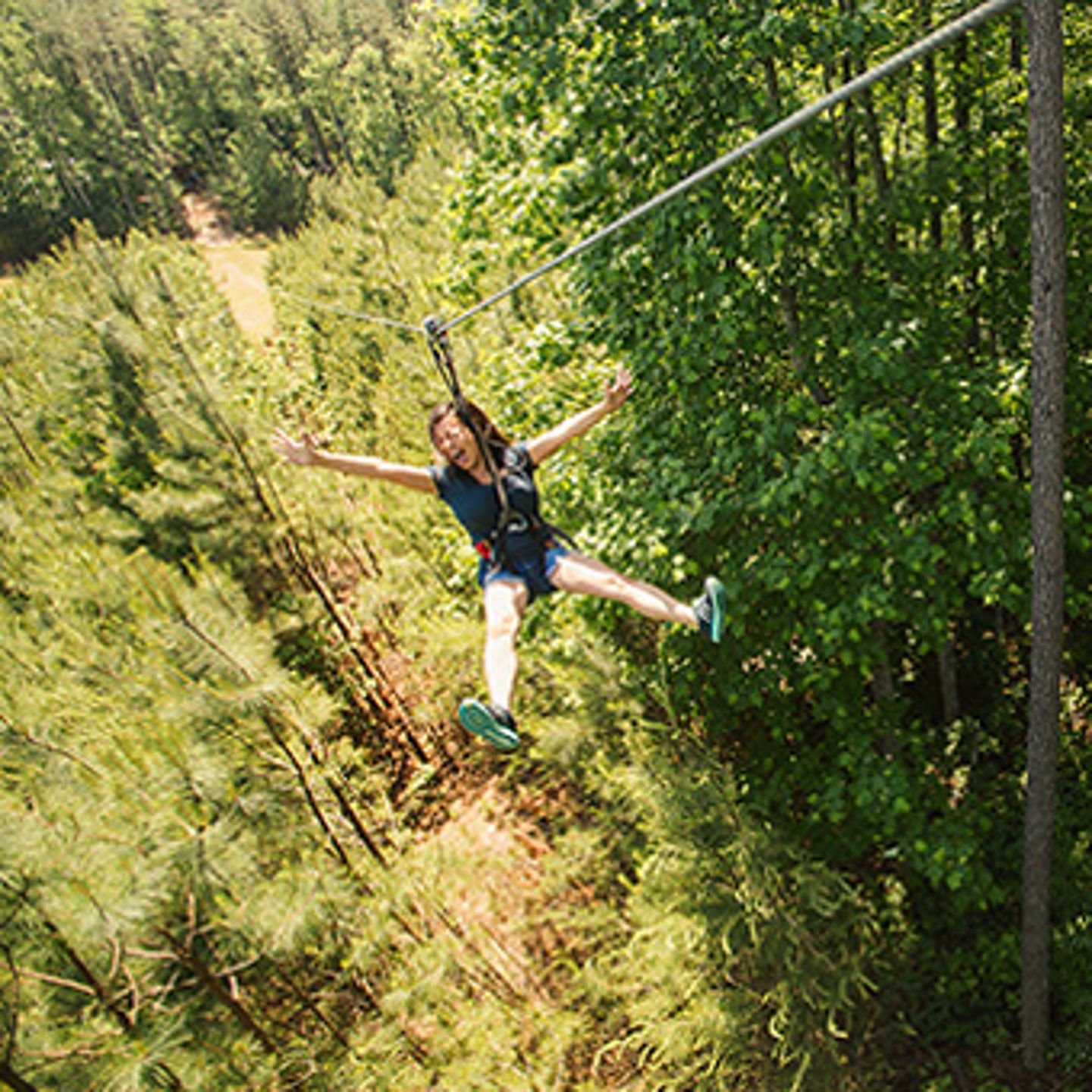 Zip Line Adventure Course