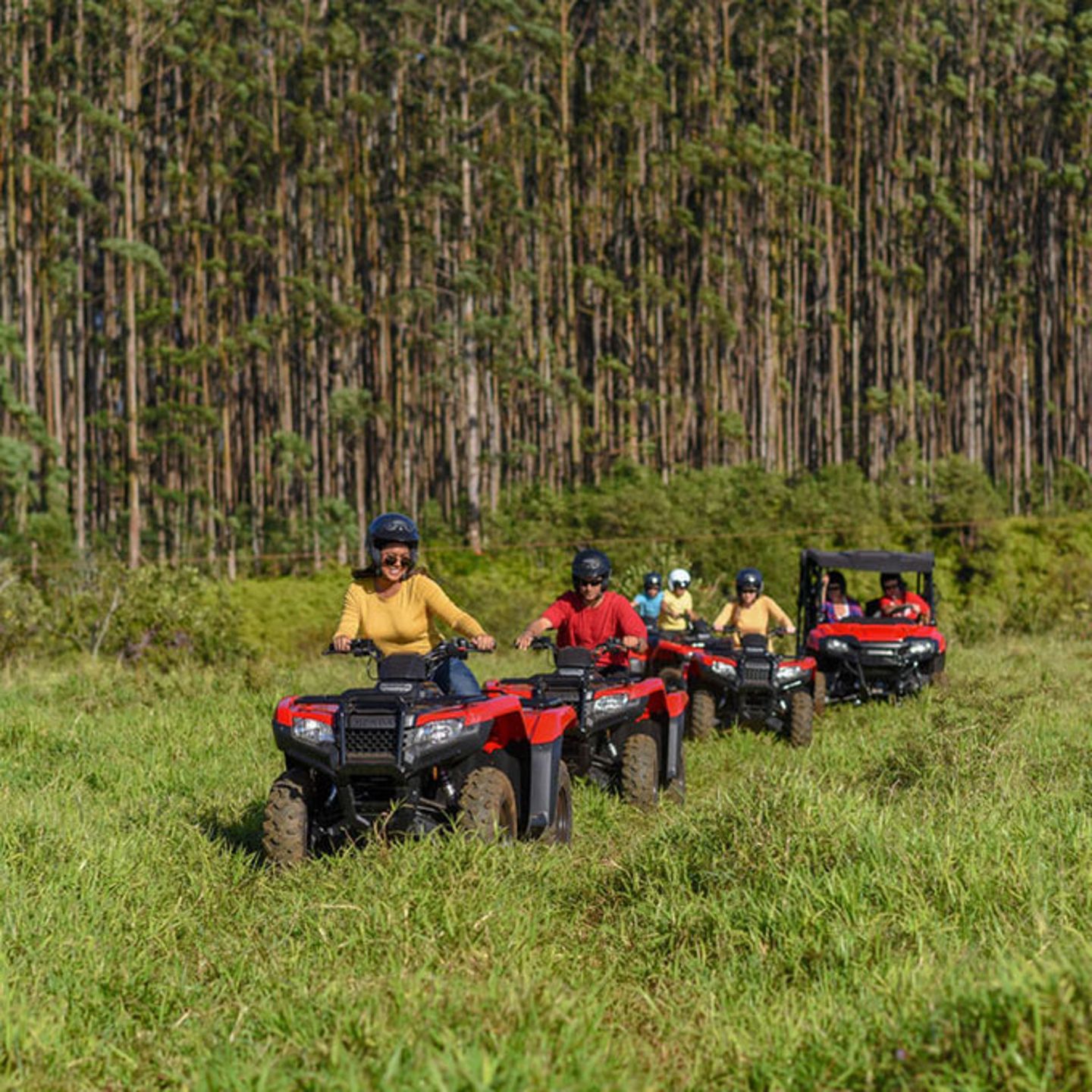 Umauma Falls ATV Adventure