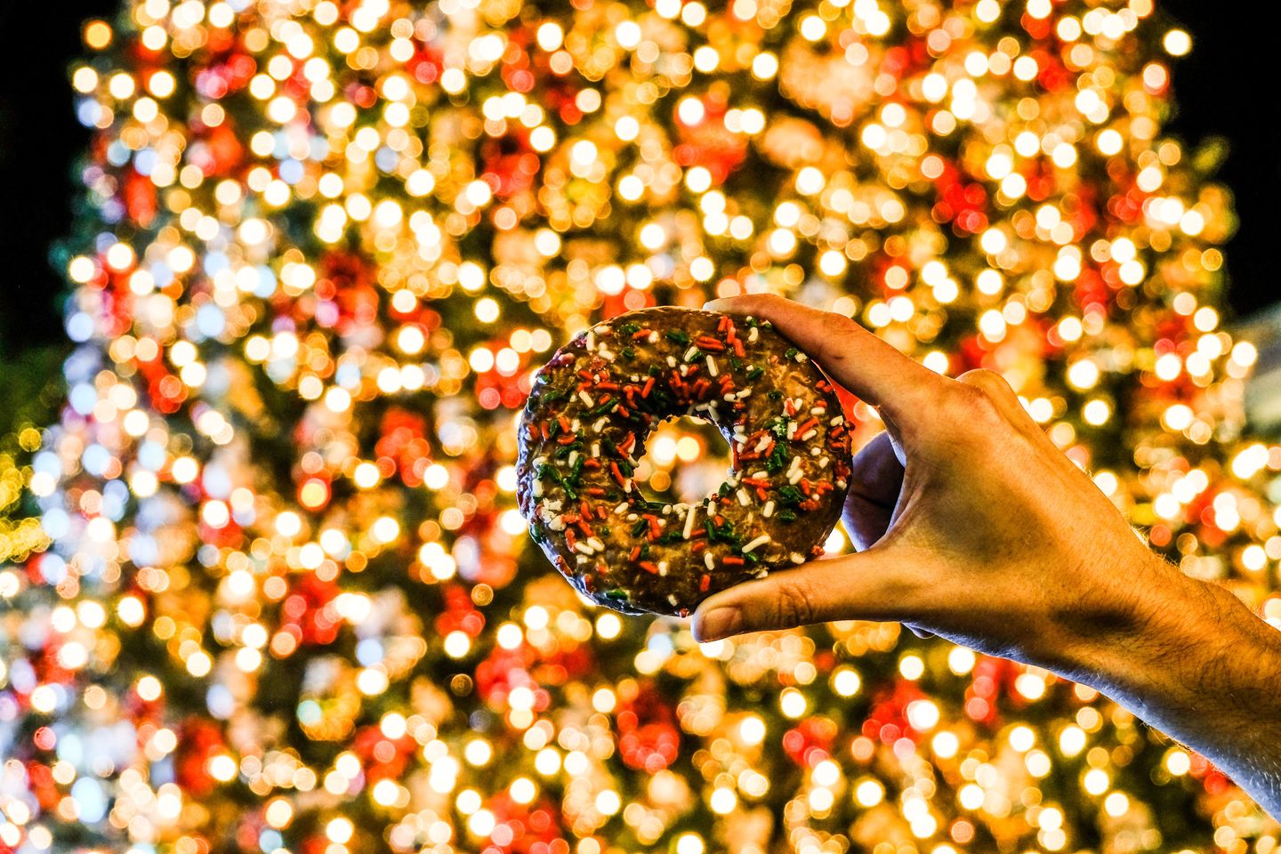 LA Donut Tour