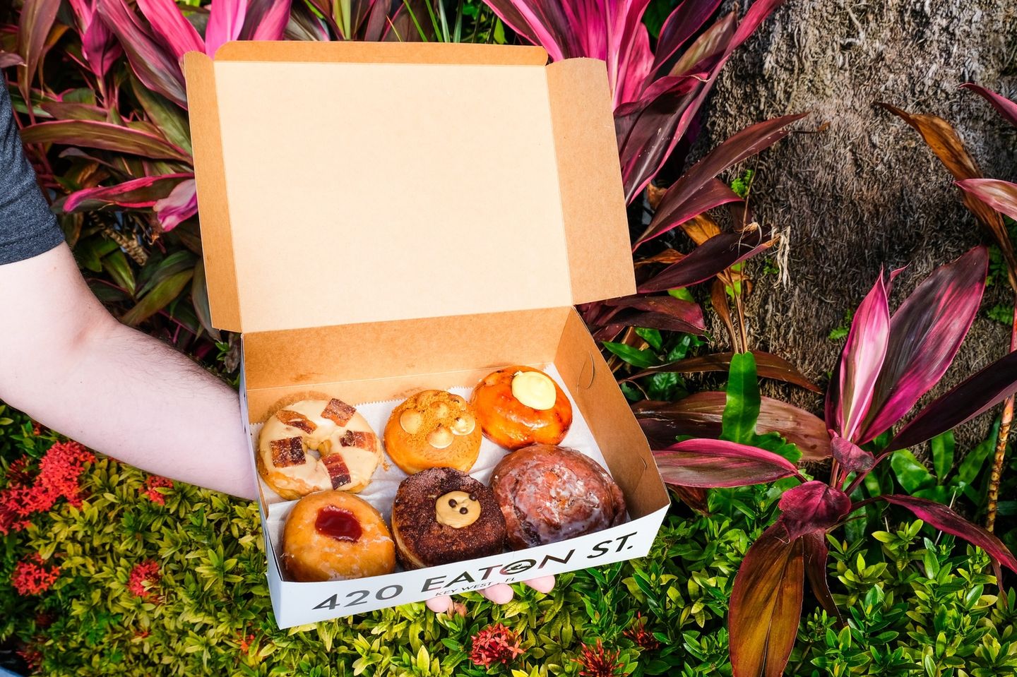 Donut Tour