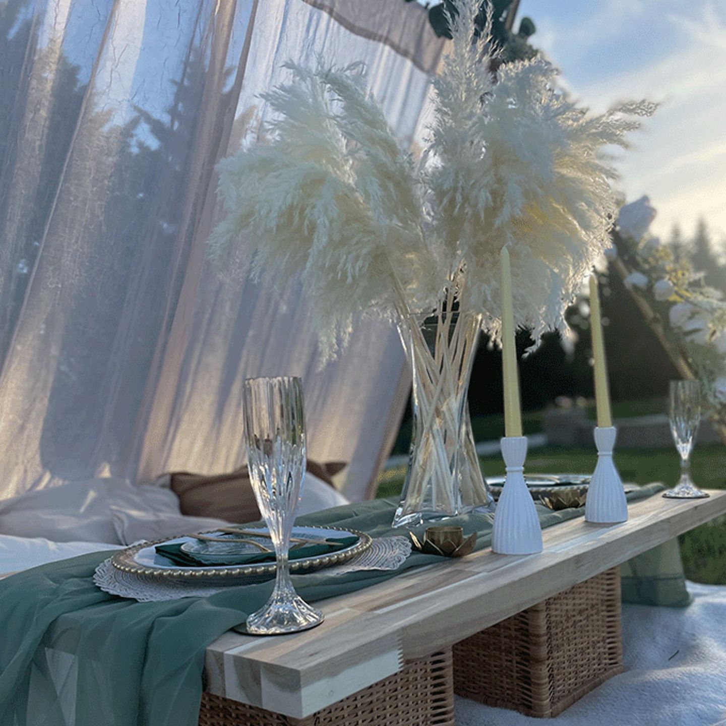 Unique Picnic Design