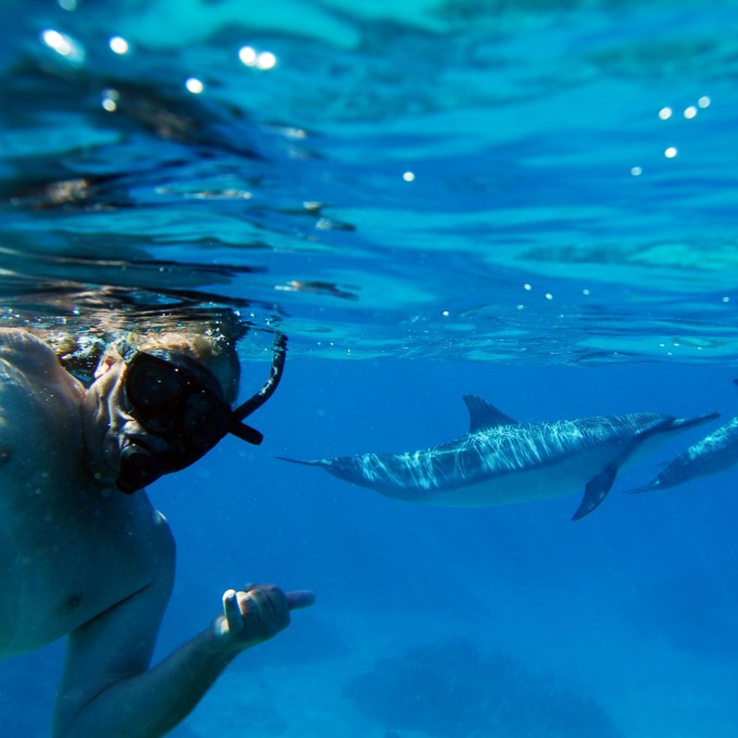 Man Snorkeling