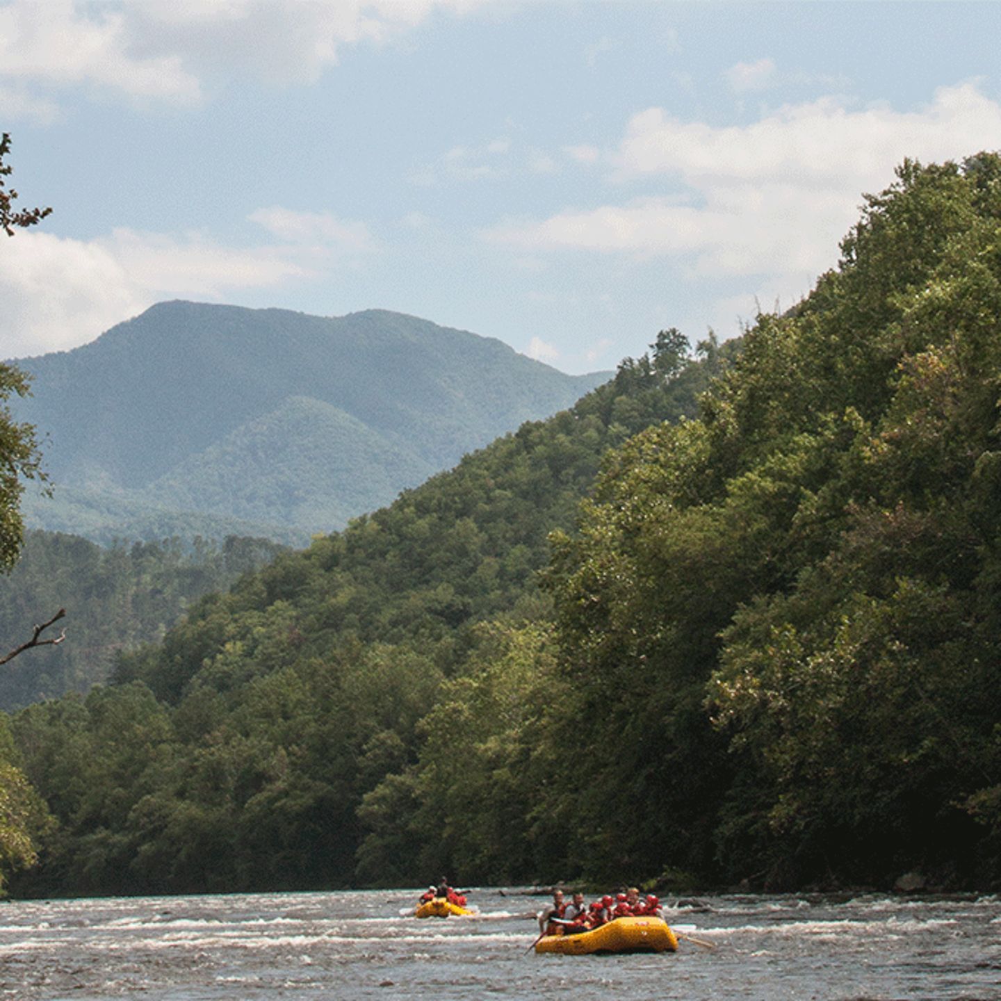 Rafting in TN
