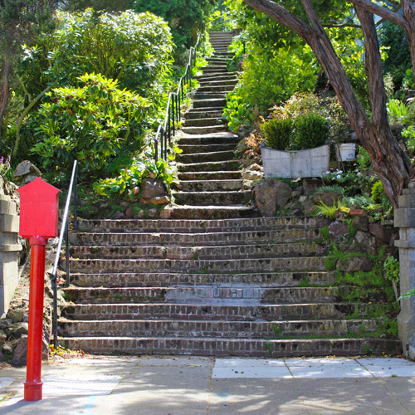 San Francisco Urban Hike