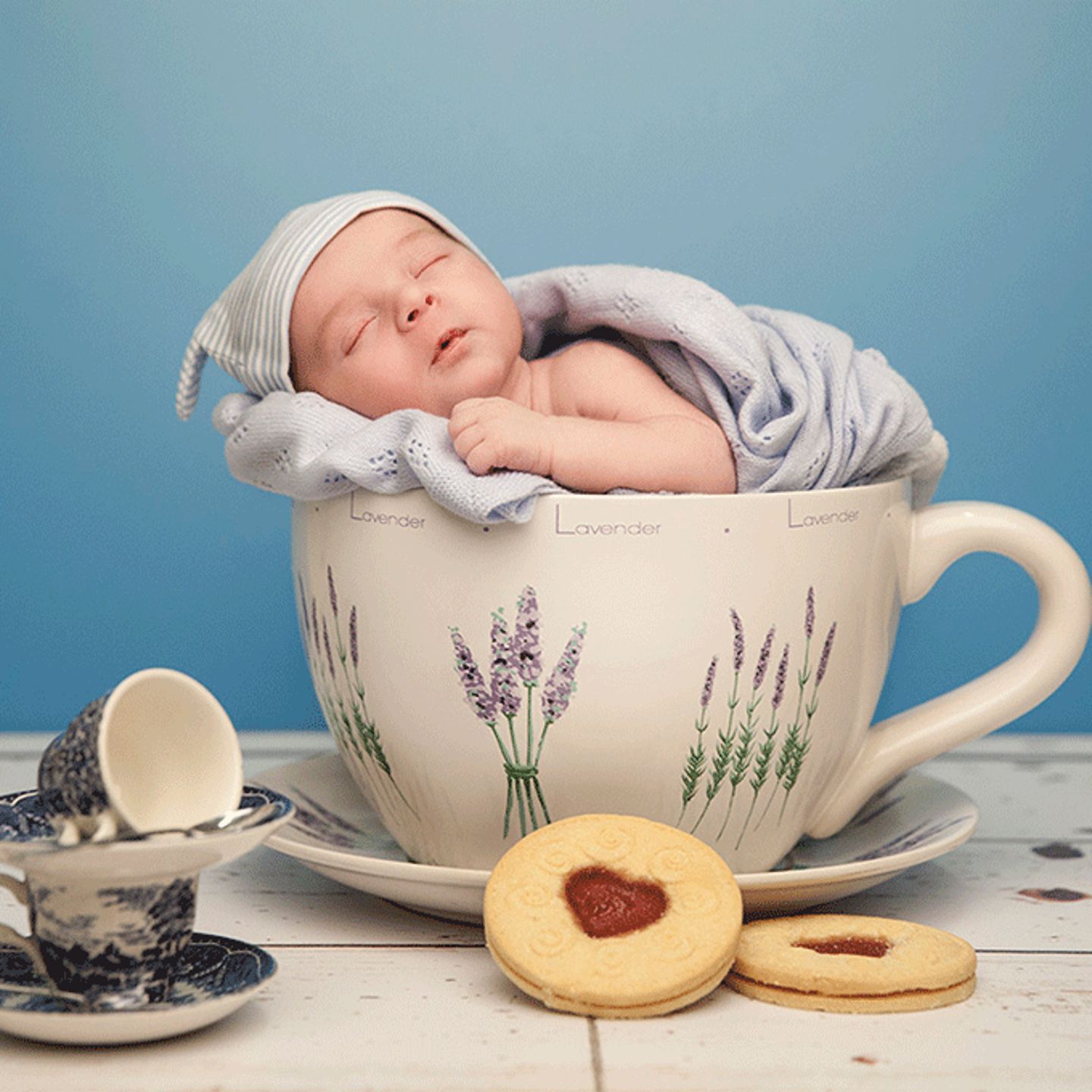 Newborn Photo Shoot