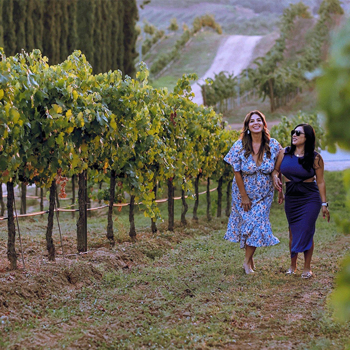 Vineyard Tour