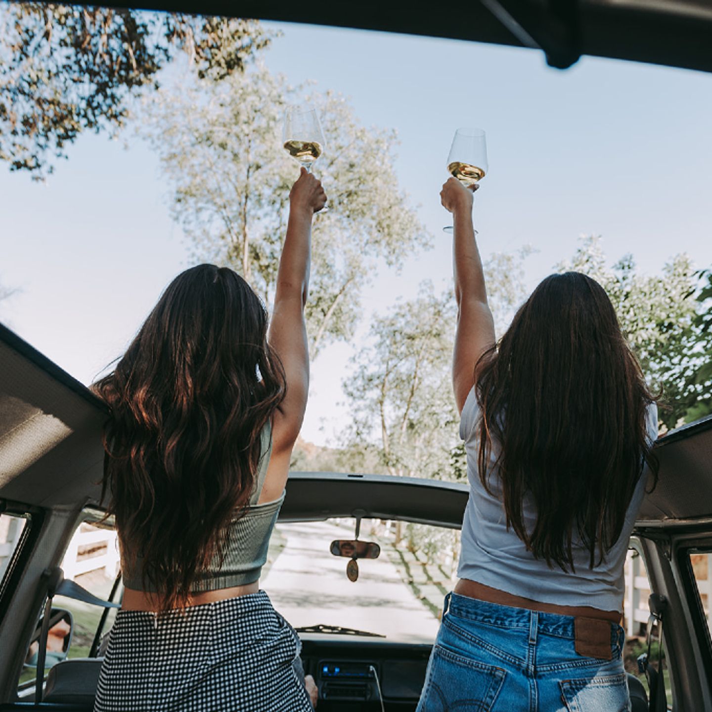 2 woman with wine in bus