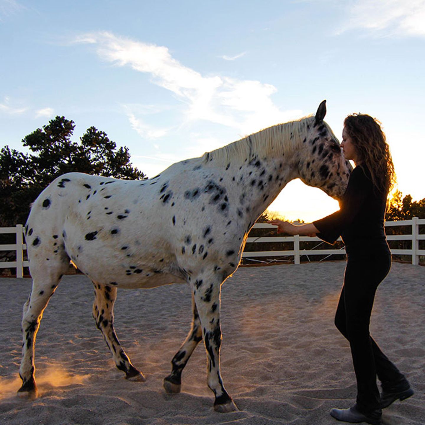 Horse Whispering in CO