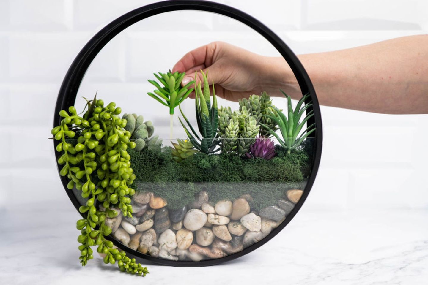 Wall Terrarium DIY