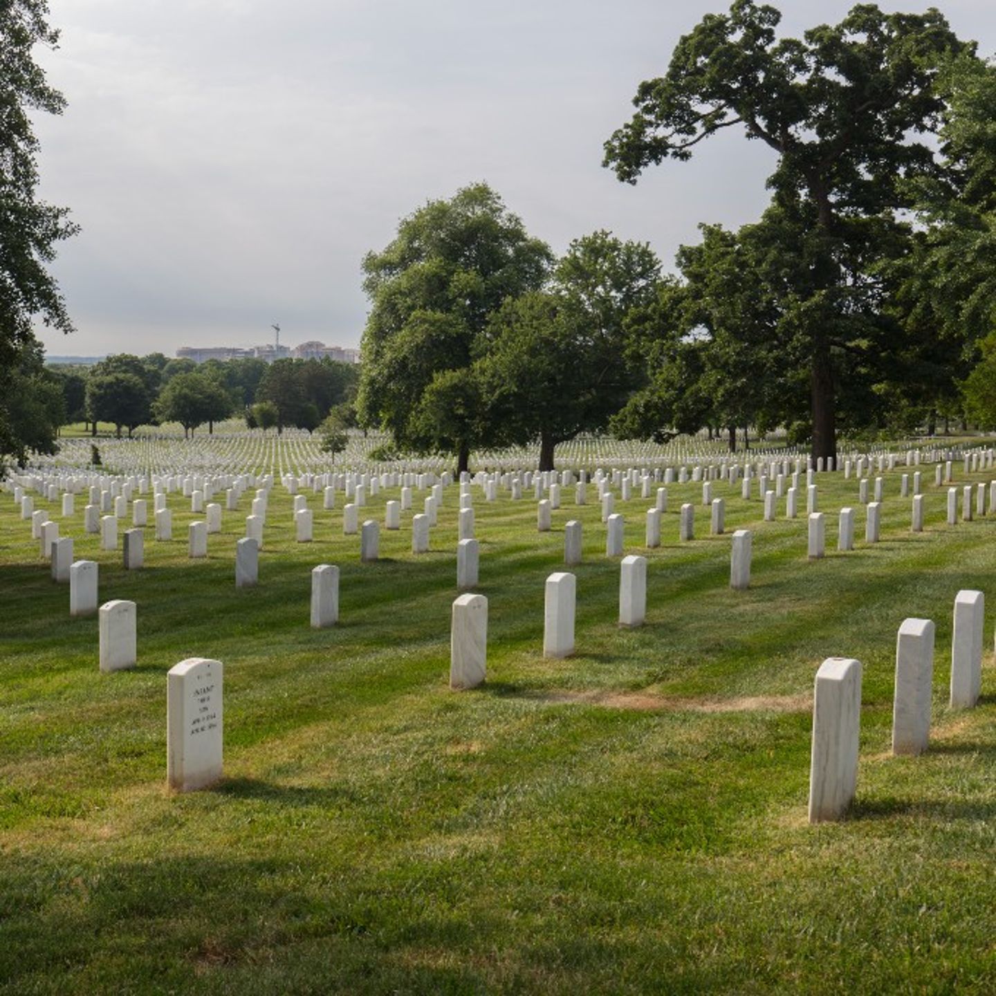 Washington DC Tour