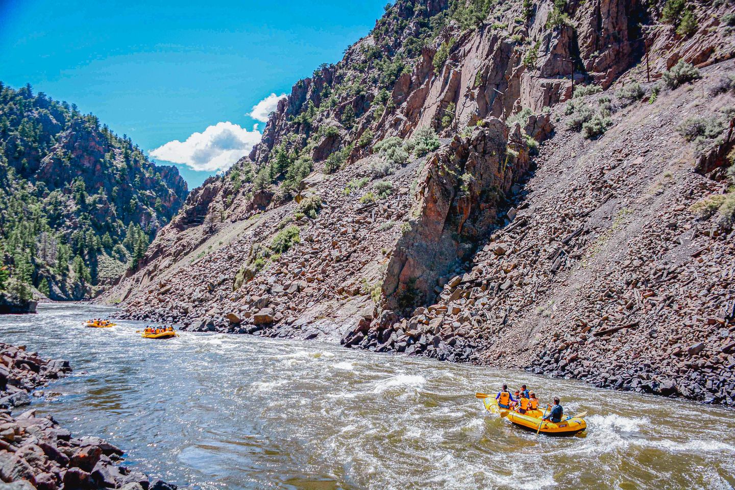 Float Trip on Colorado River