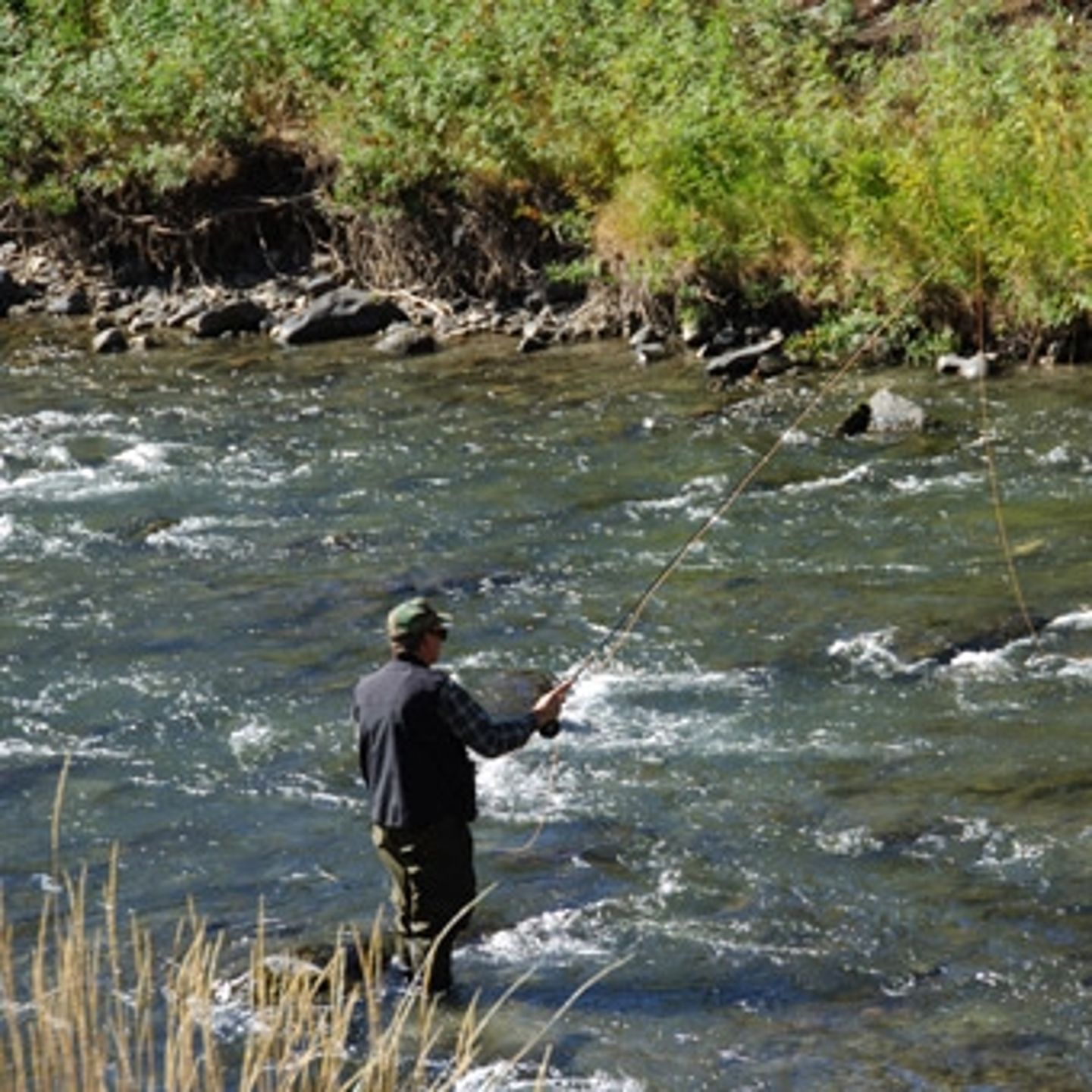 Guided Fly Fishing in Salt Lake City