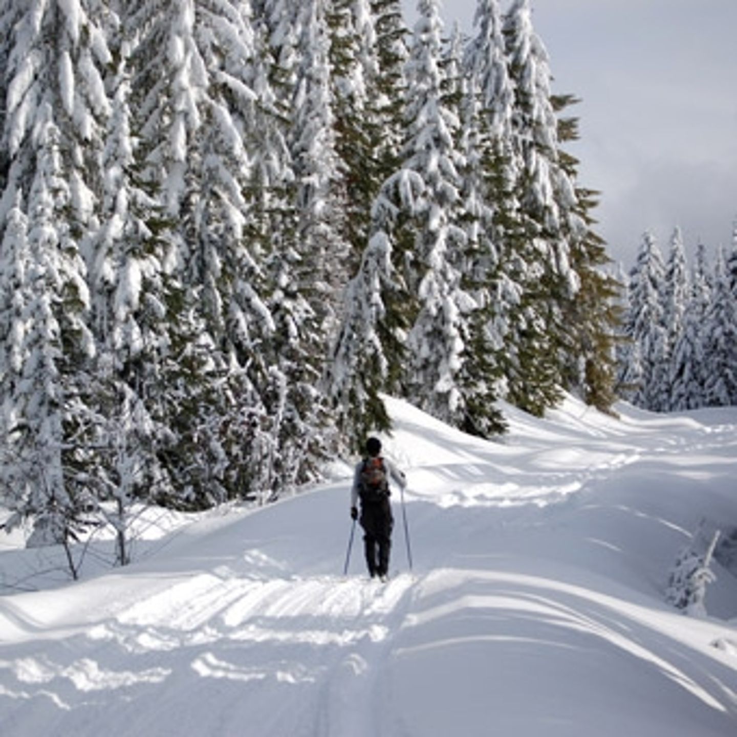 Cross-Country Ski Tour for 2 in Salt Lake City