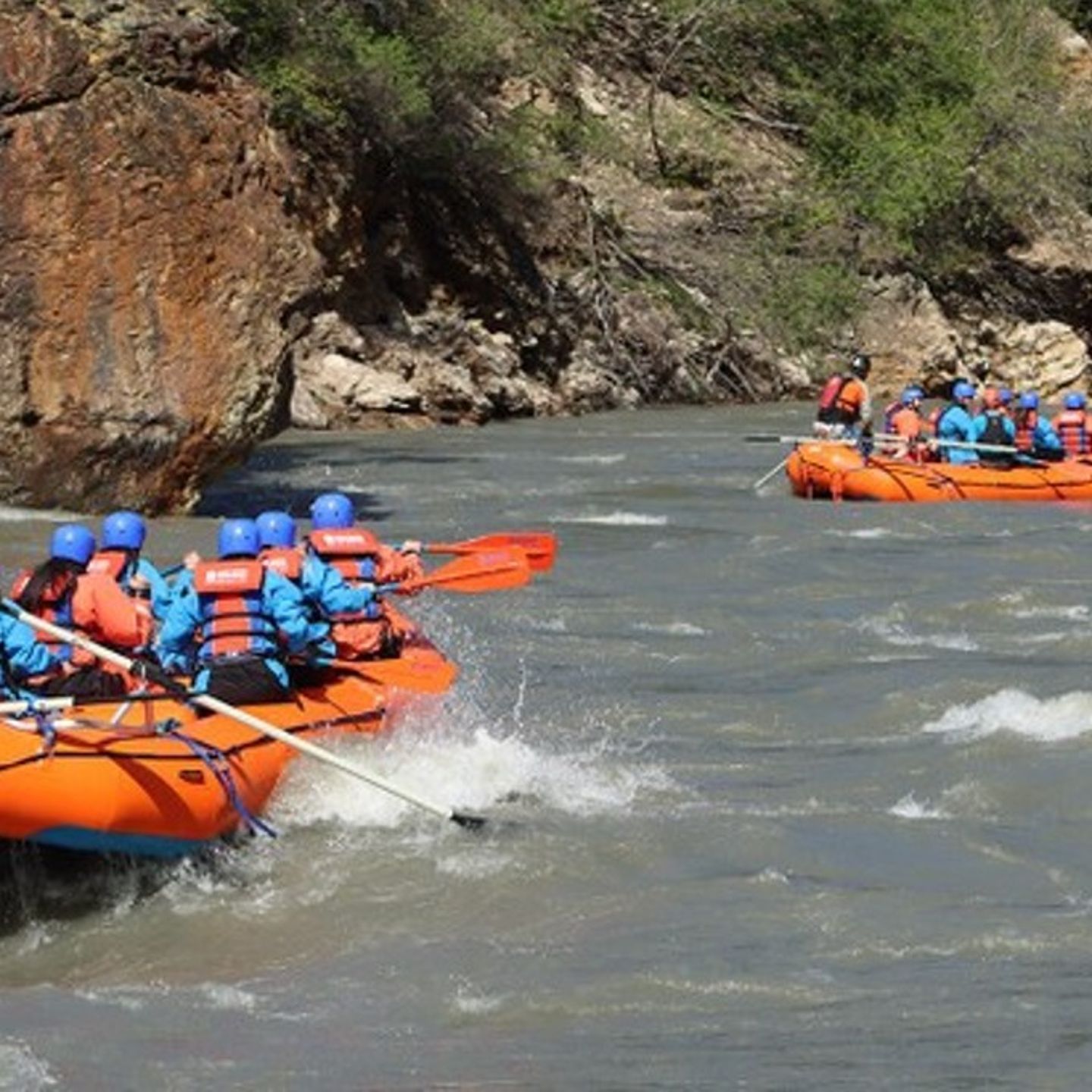 Groups on rafts