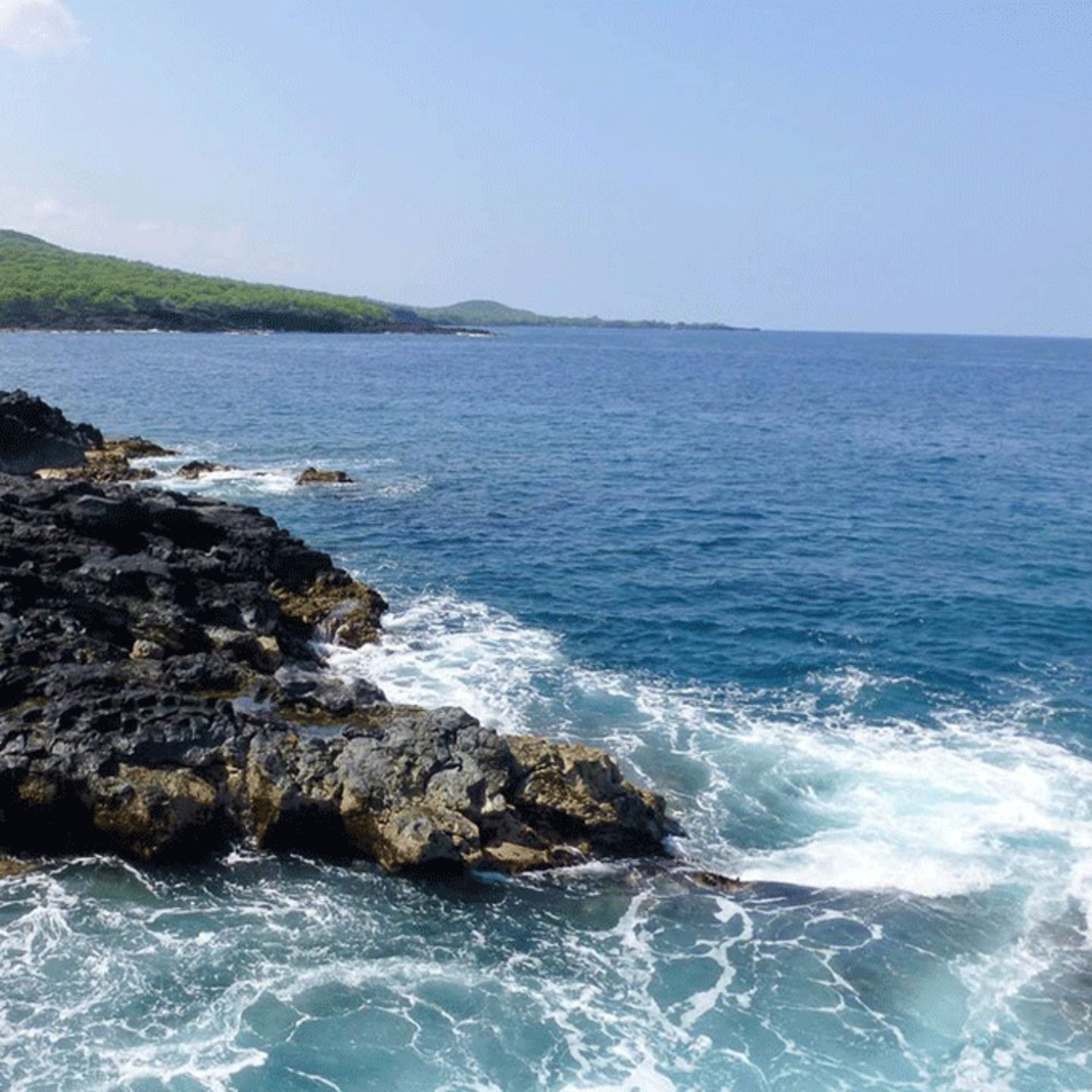 Kona Hawaii Morning Snorkel