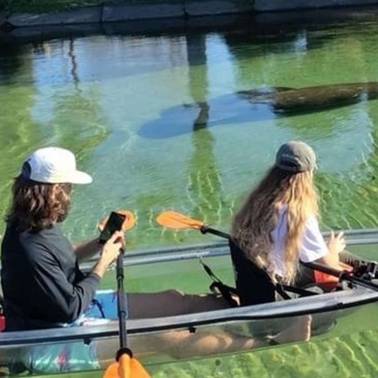 Clear Kayak Manatee Ecotour