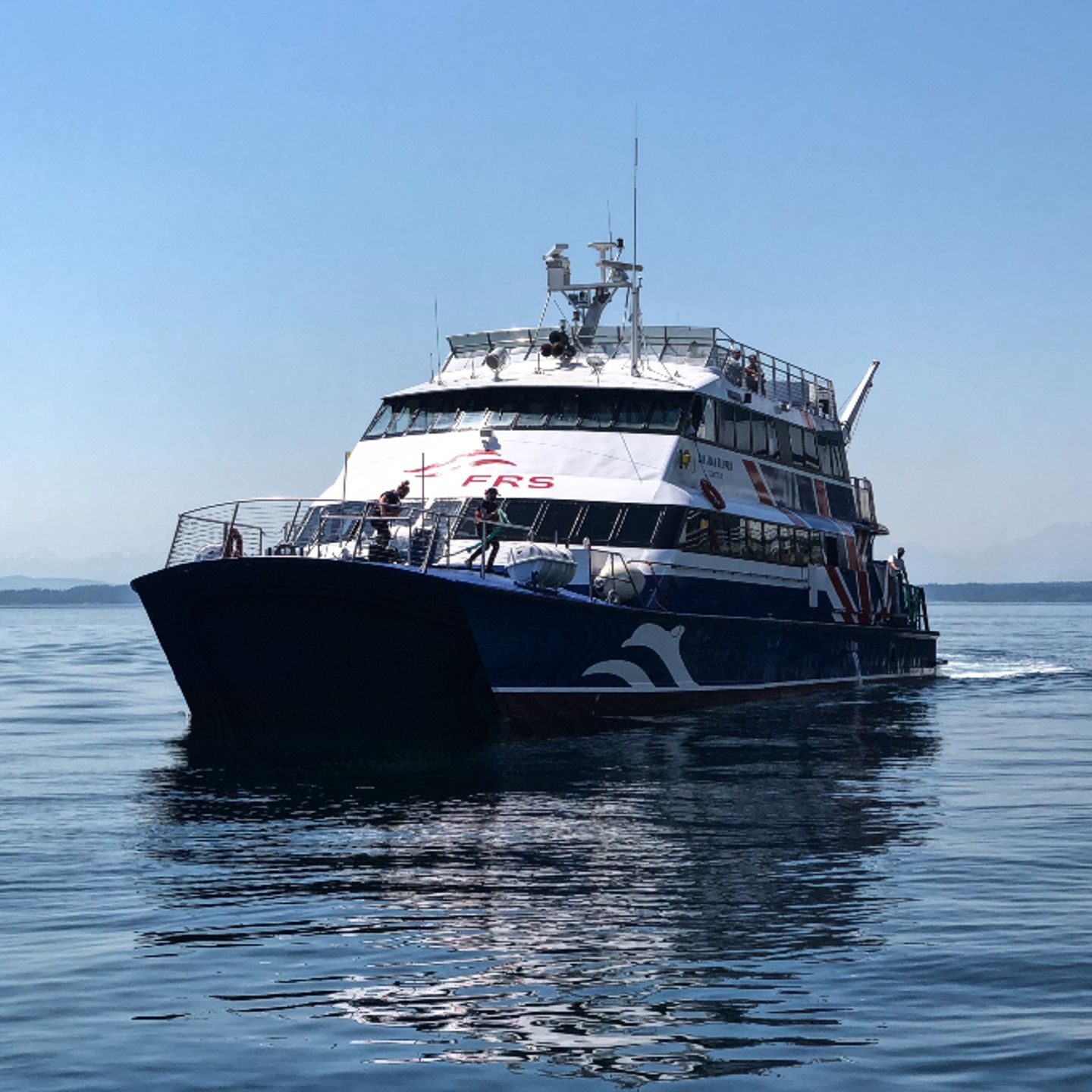 Whale watching boat