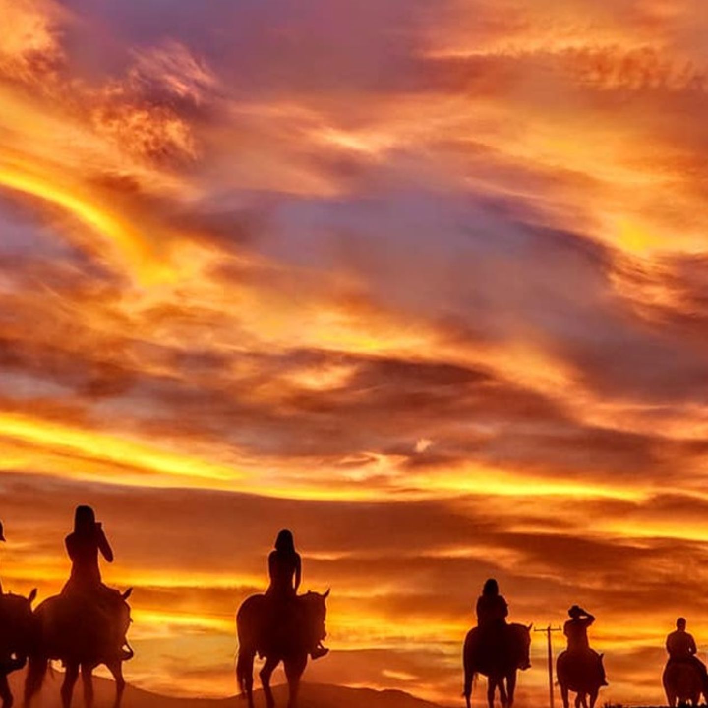 Group on tour at sunset