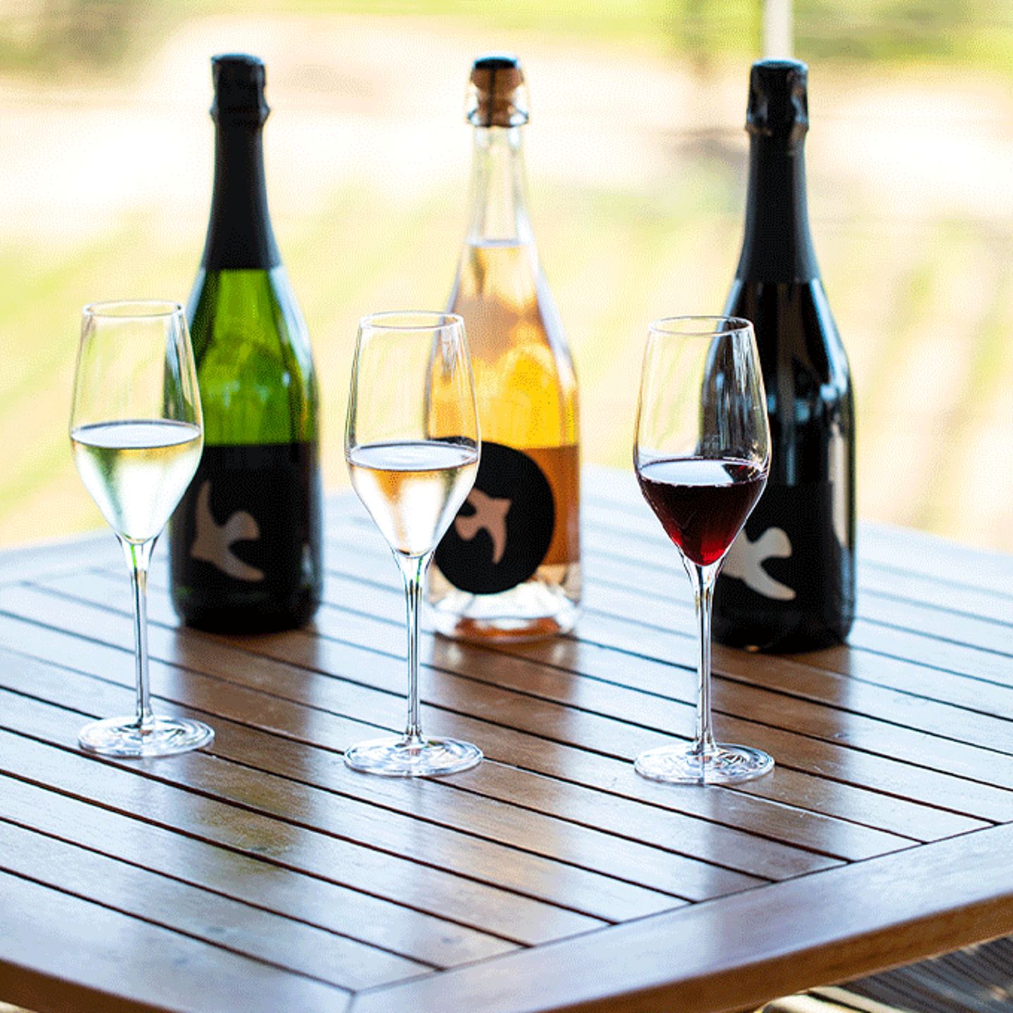 Wine bottles and tasting