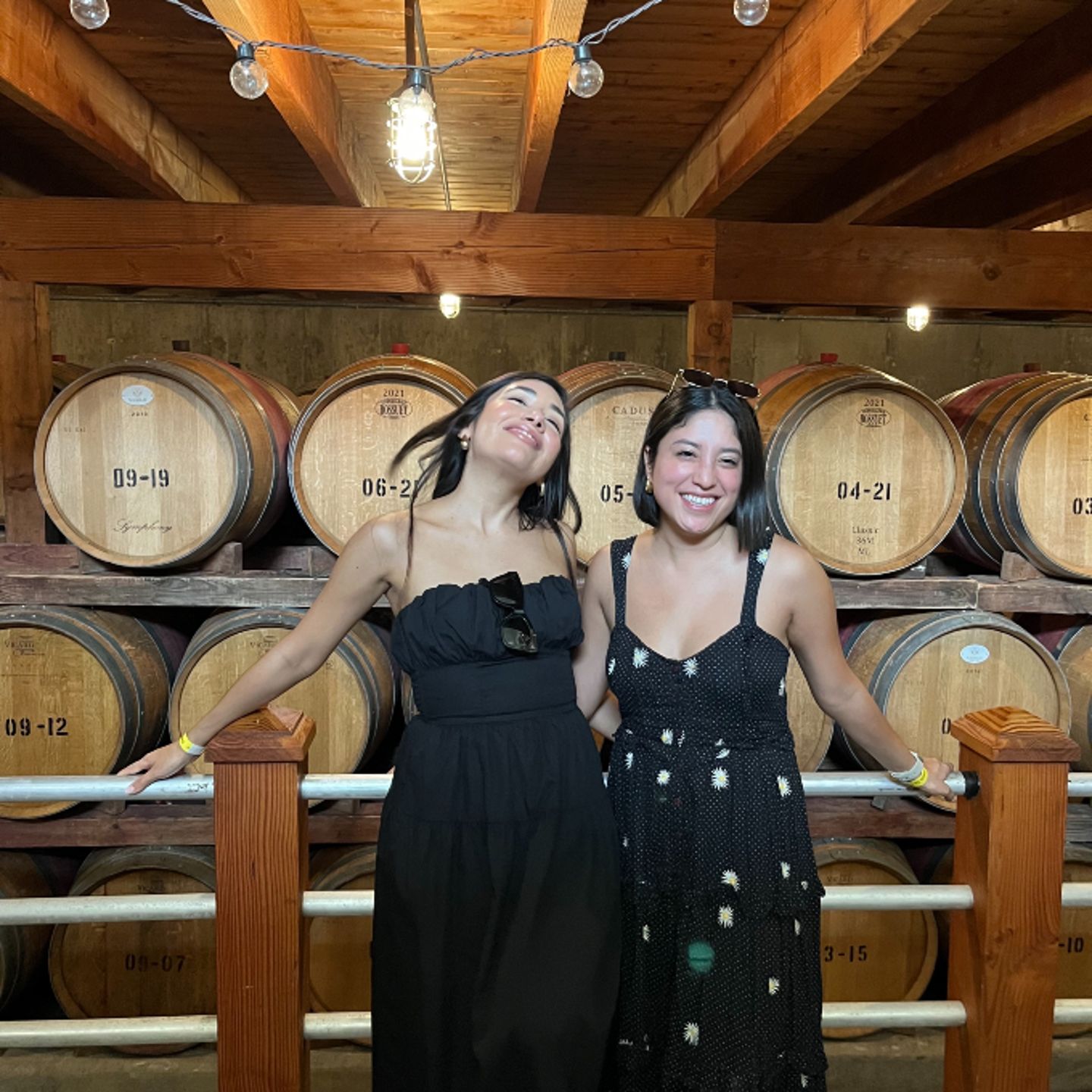 Women in cellar