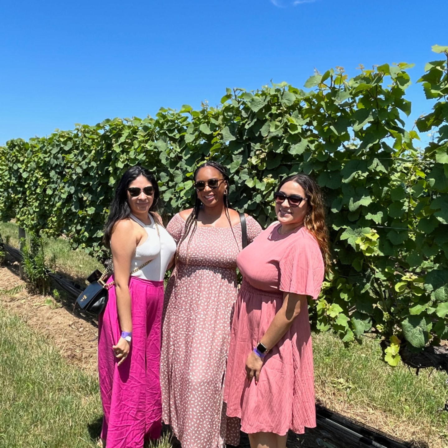 Women in vineyard