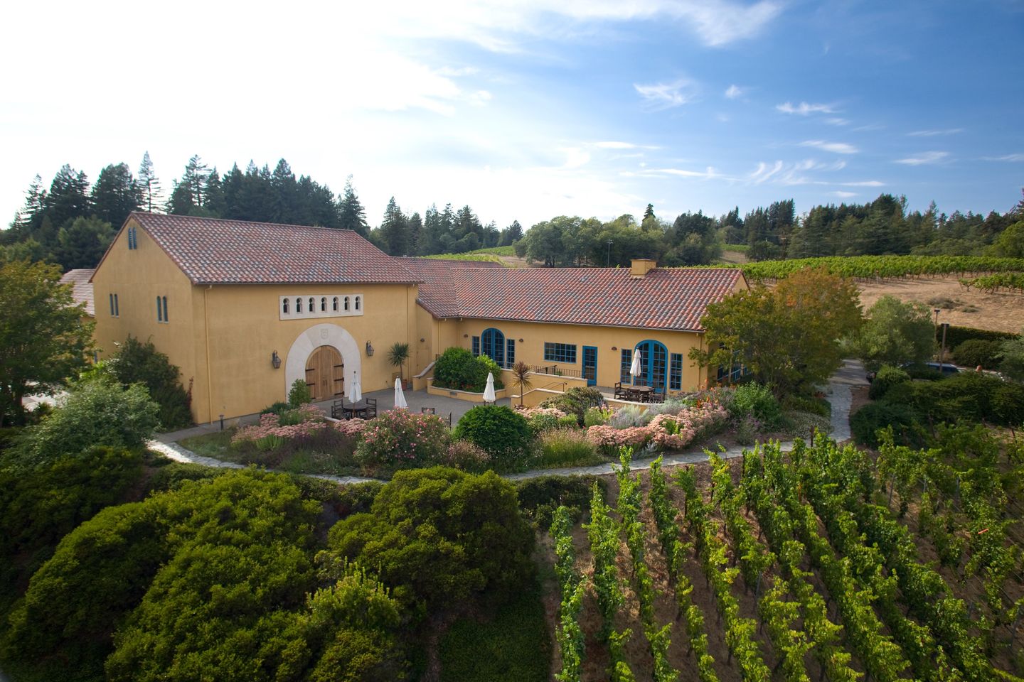 Estate vineyard