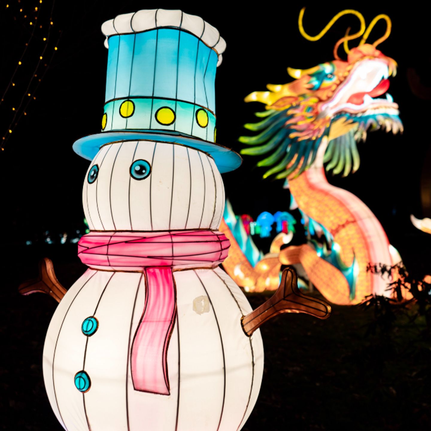 Snowman and dragon