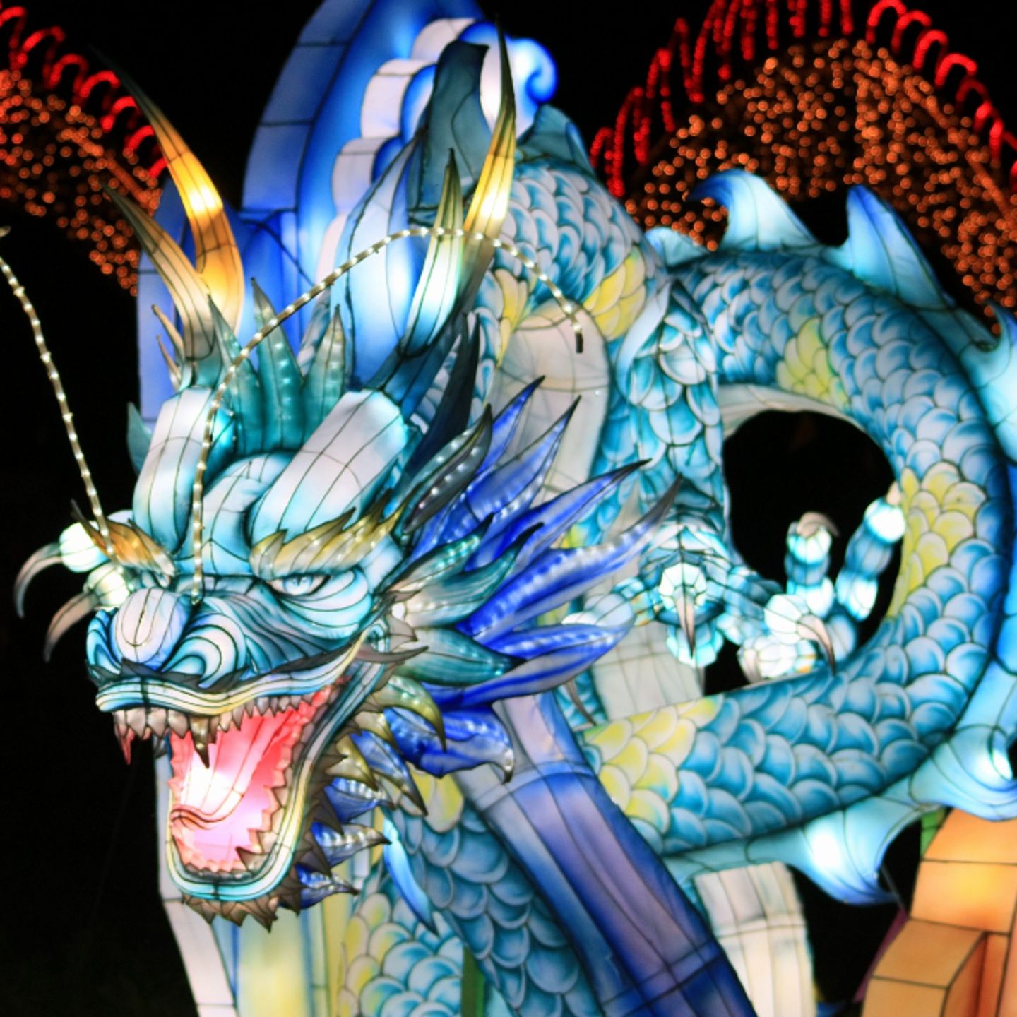 Dragon lantern