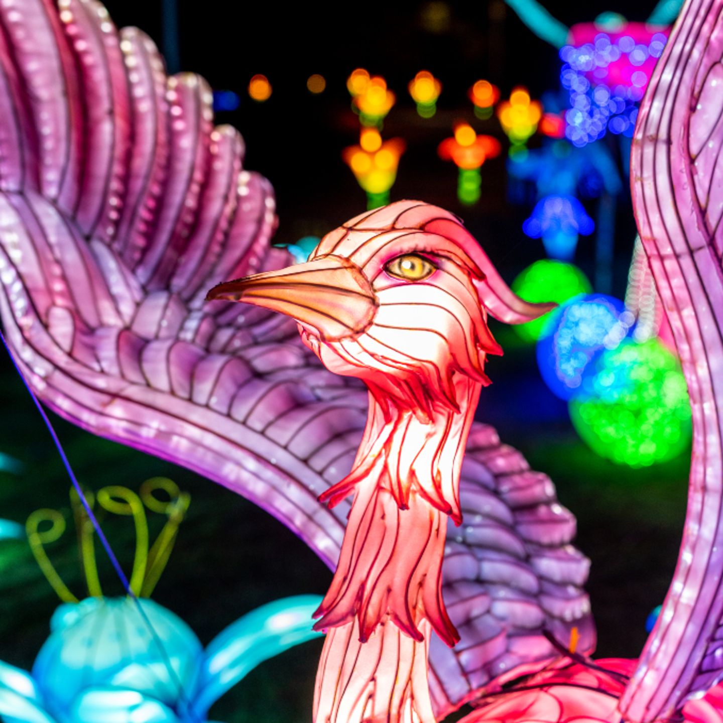 Bird lantern