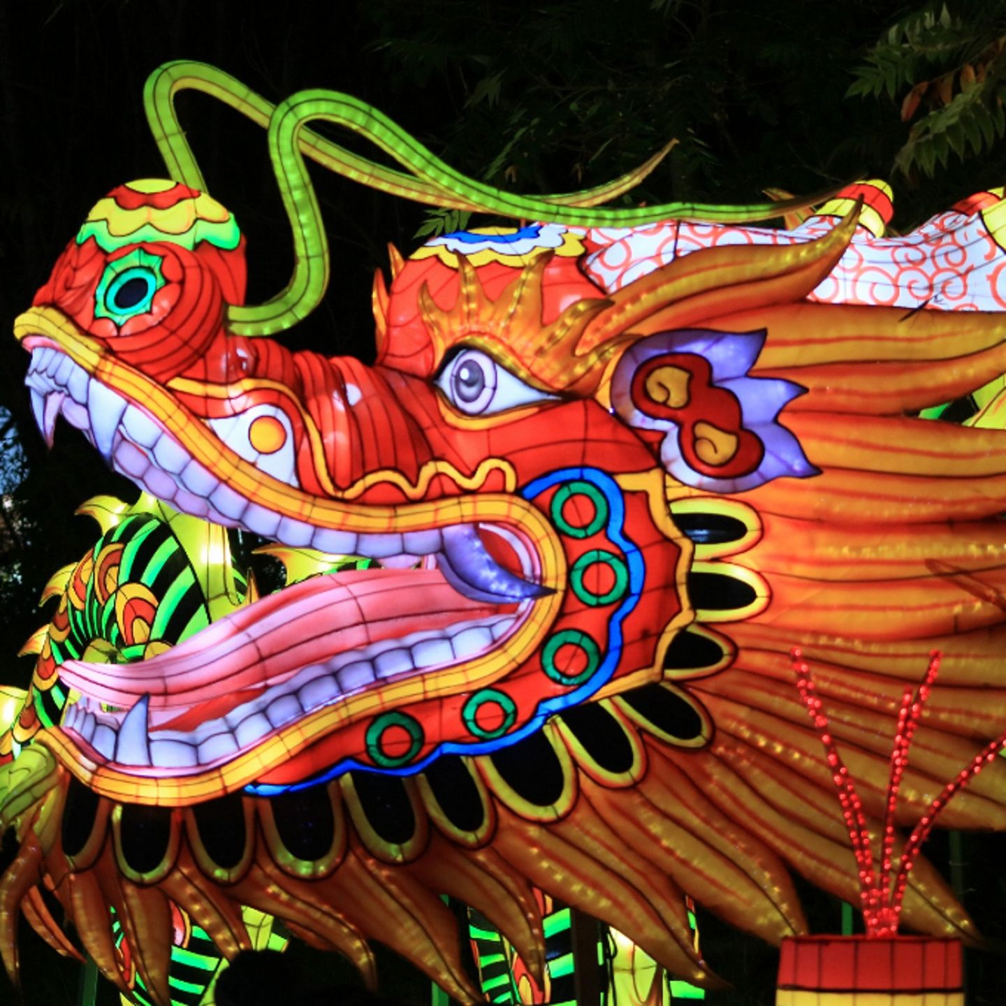 Dragon head