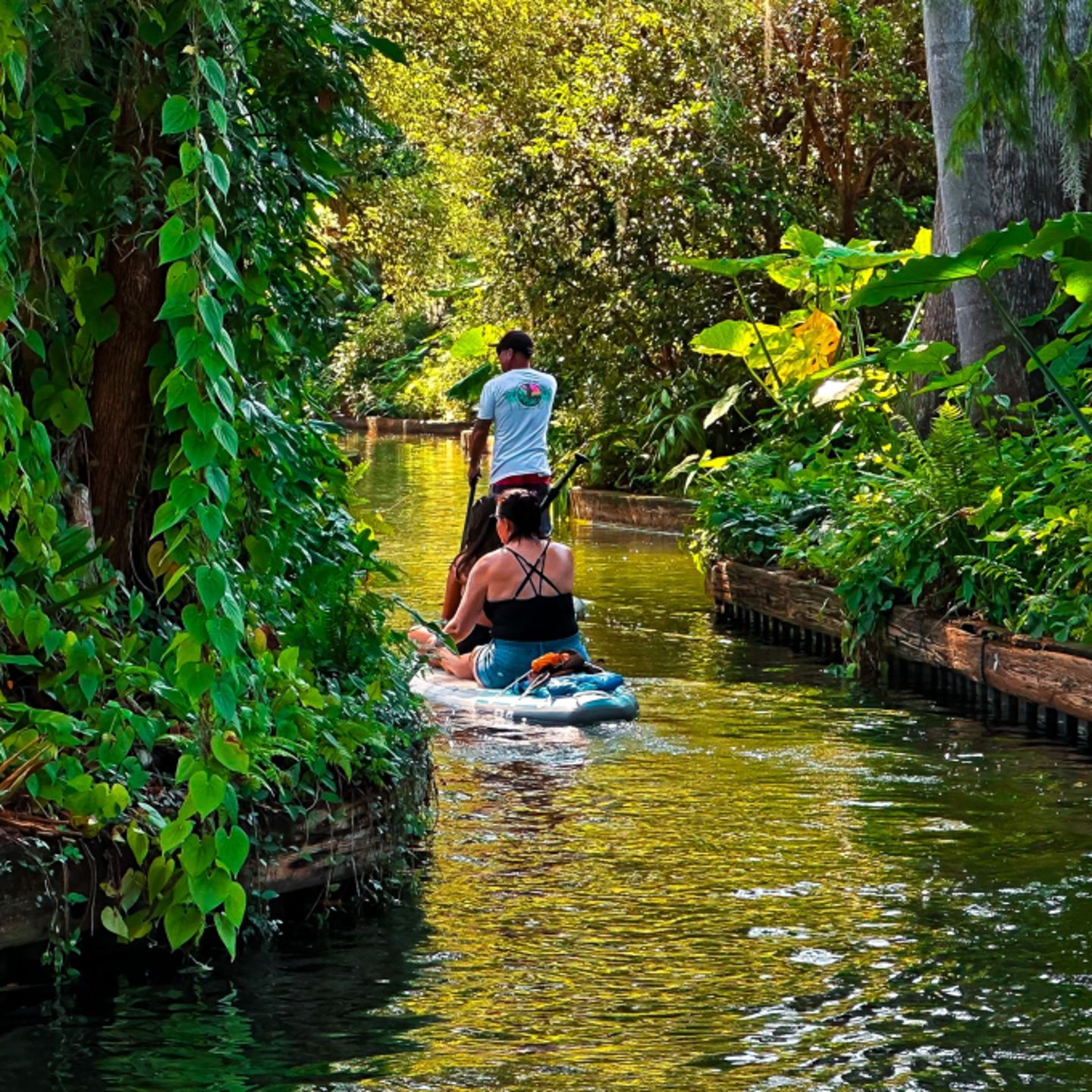 People on paddleboard