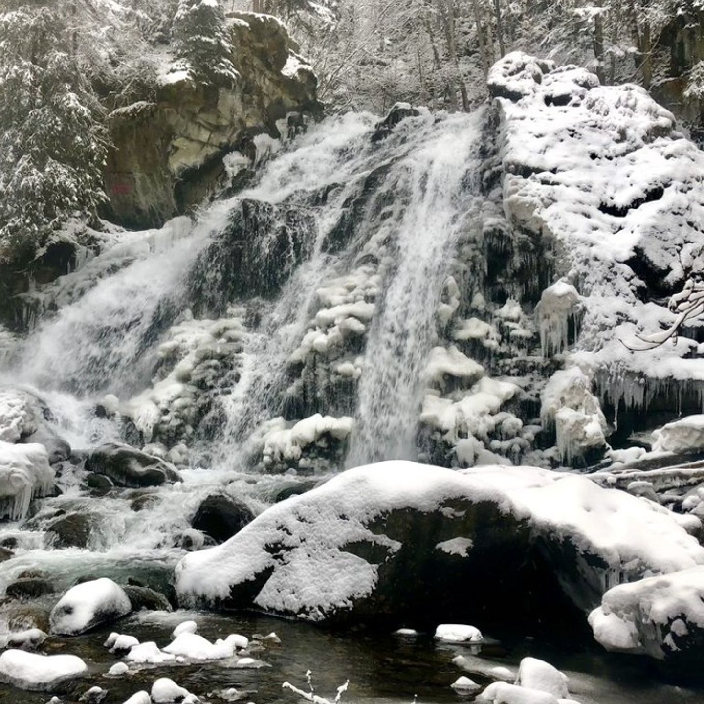 Waterfall Hike