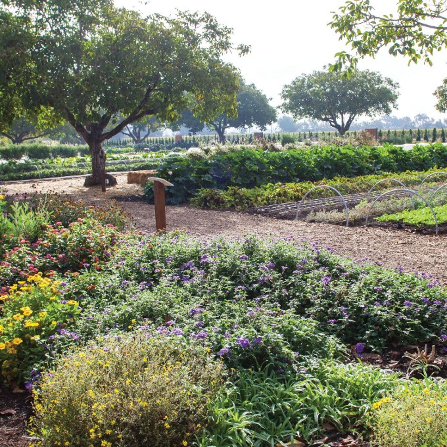 Gardens on Property
