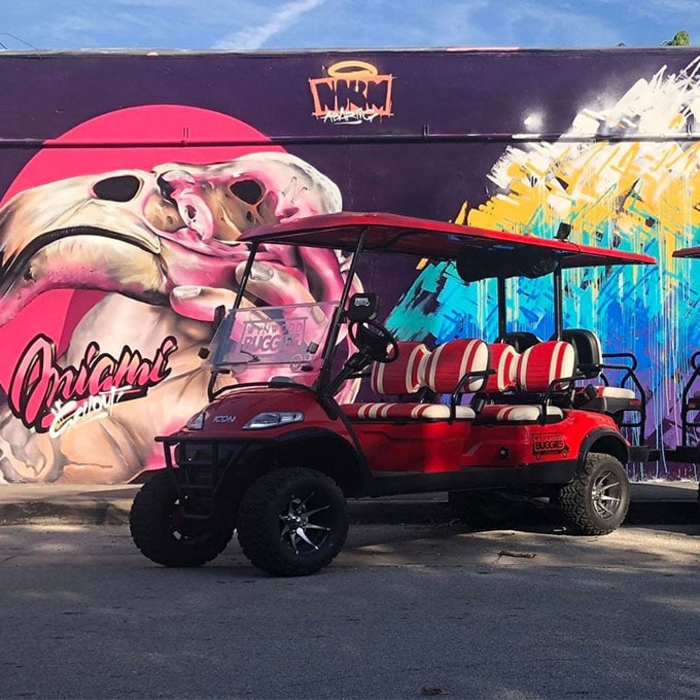 Buggie Tour of Miami