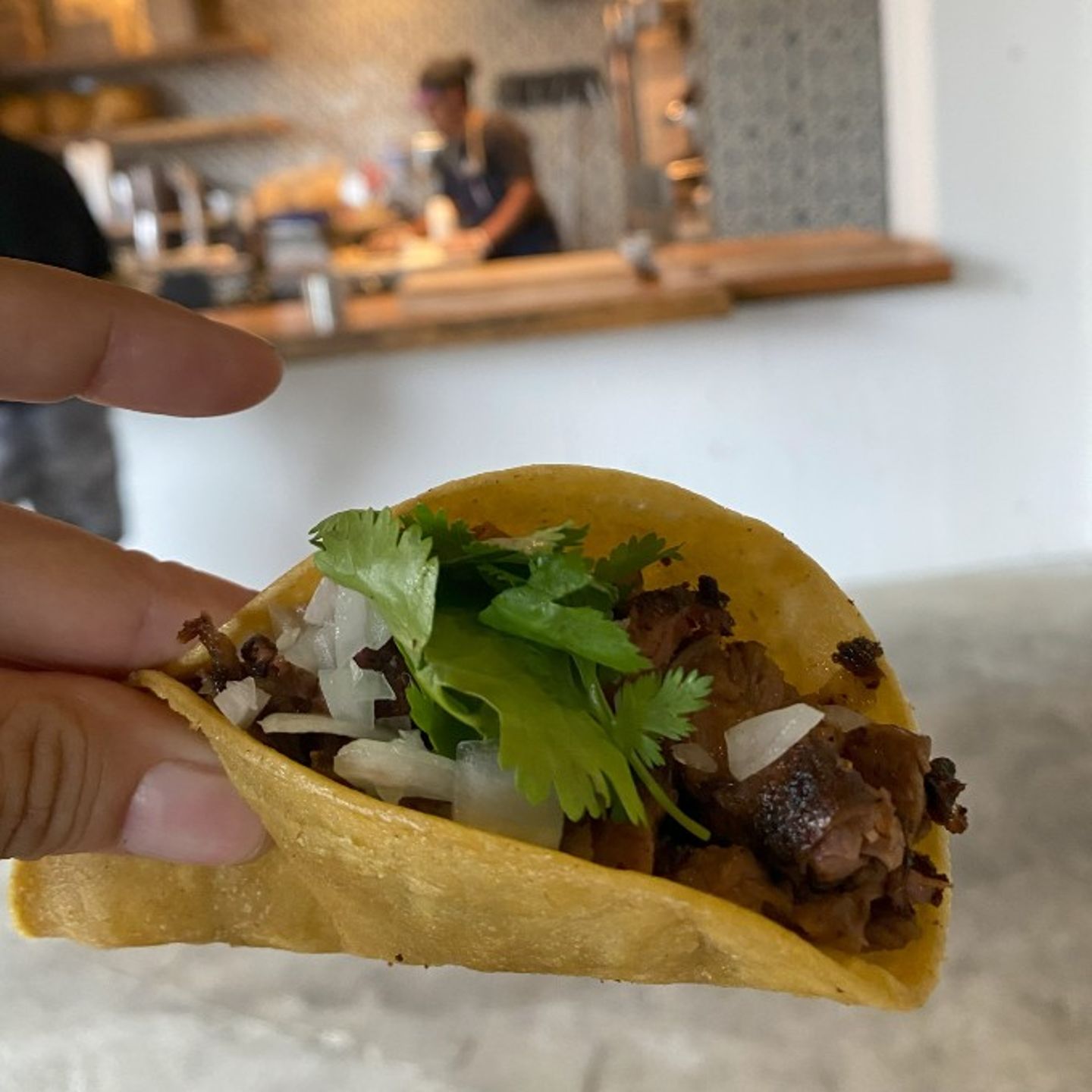 Taco being held