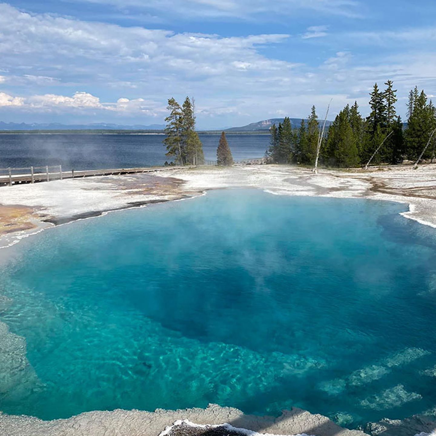 Yellowstone Private Tour