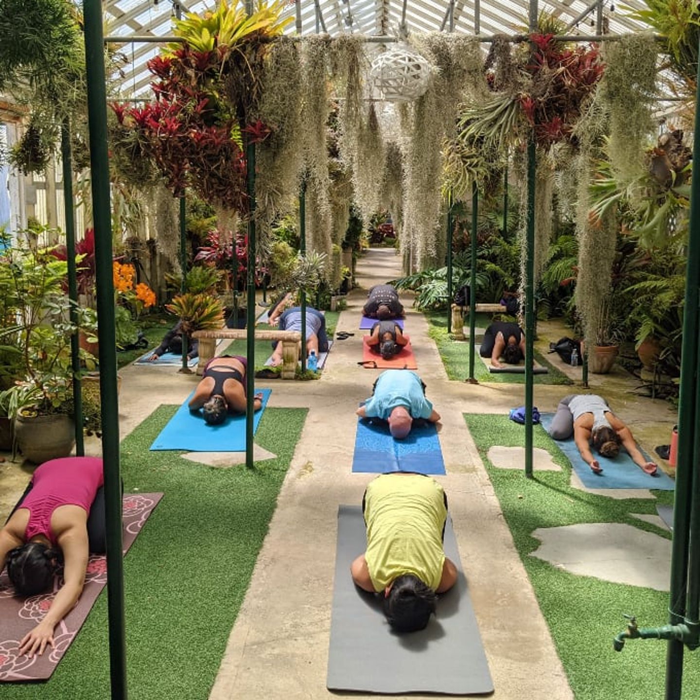 Group doing yoga poses on ground