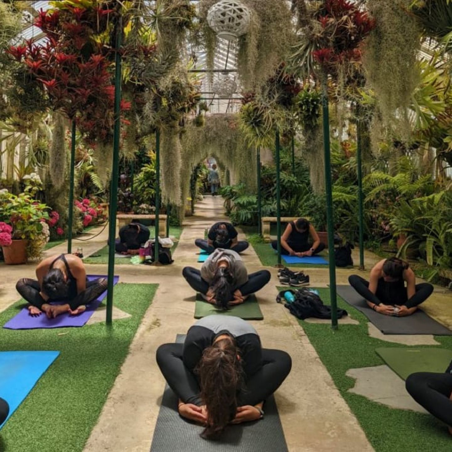 Group doing yoga
