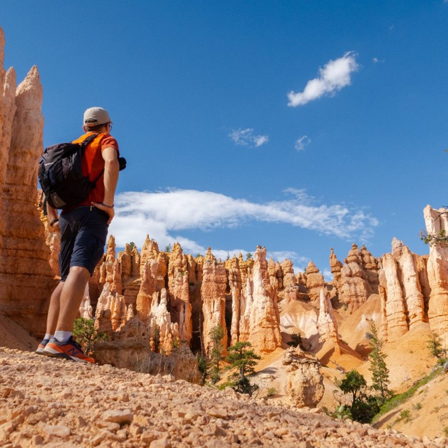 Man viewing rock formations