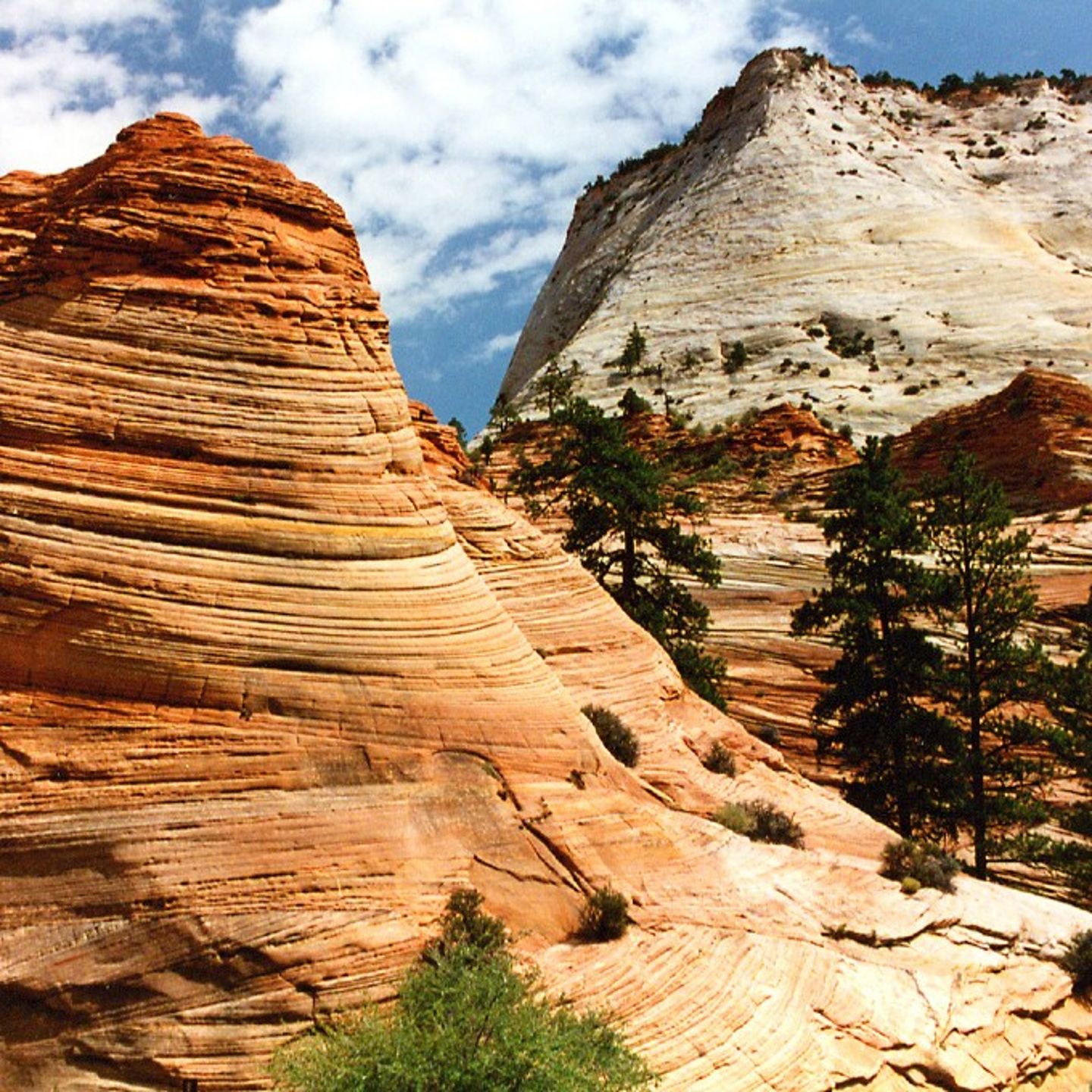 Red rock