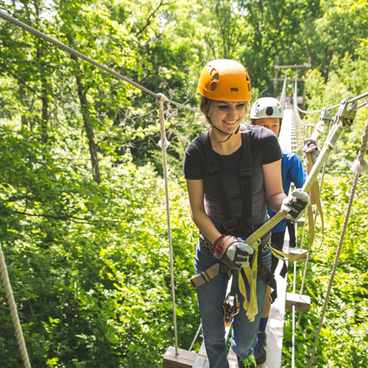 Aerial Adventure Course