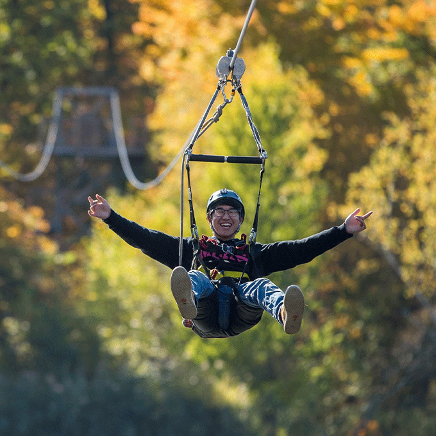 Zipline