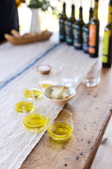 Gold Ridge Organic Farms Olive Oil Tasting and Orchard Tour for Two