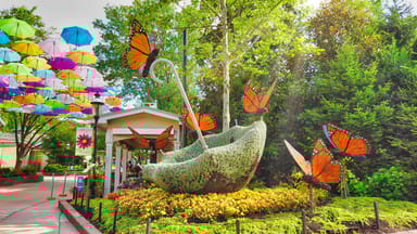 Nashville to Dollywood Day Trip with Food Credit