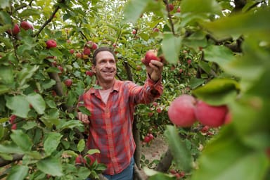 Gold Ridge Organic Farms Olive Oil Tasting and Orchard Tour for Two